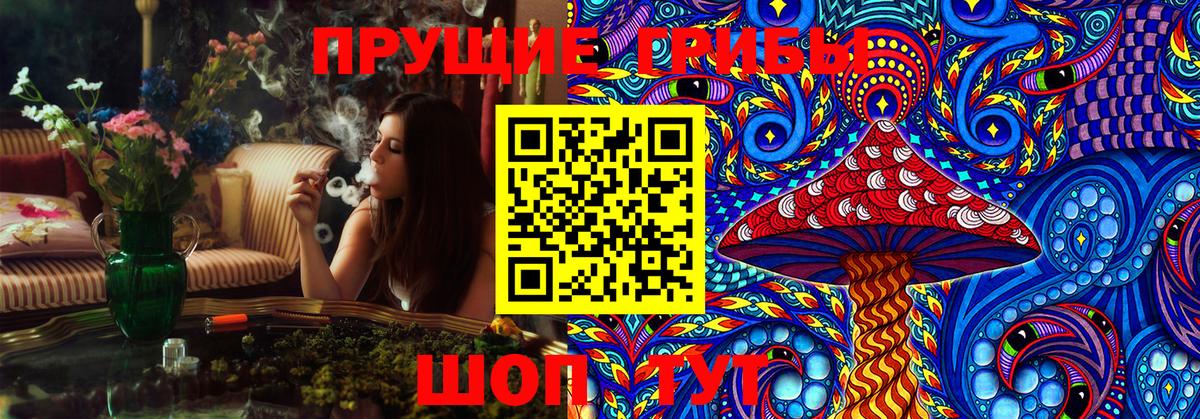Красный Сулин  Псилоцибиновые грибы MAGIC MUSHROOMS  Вход с VPN 